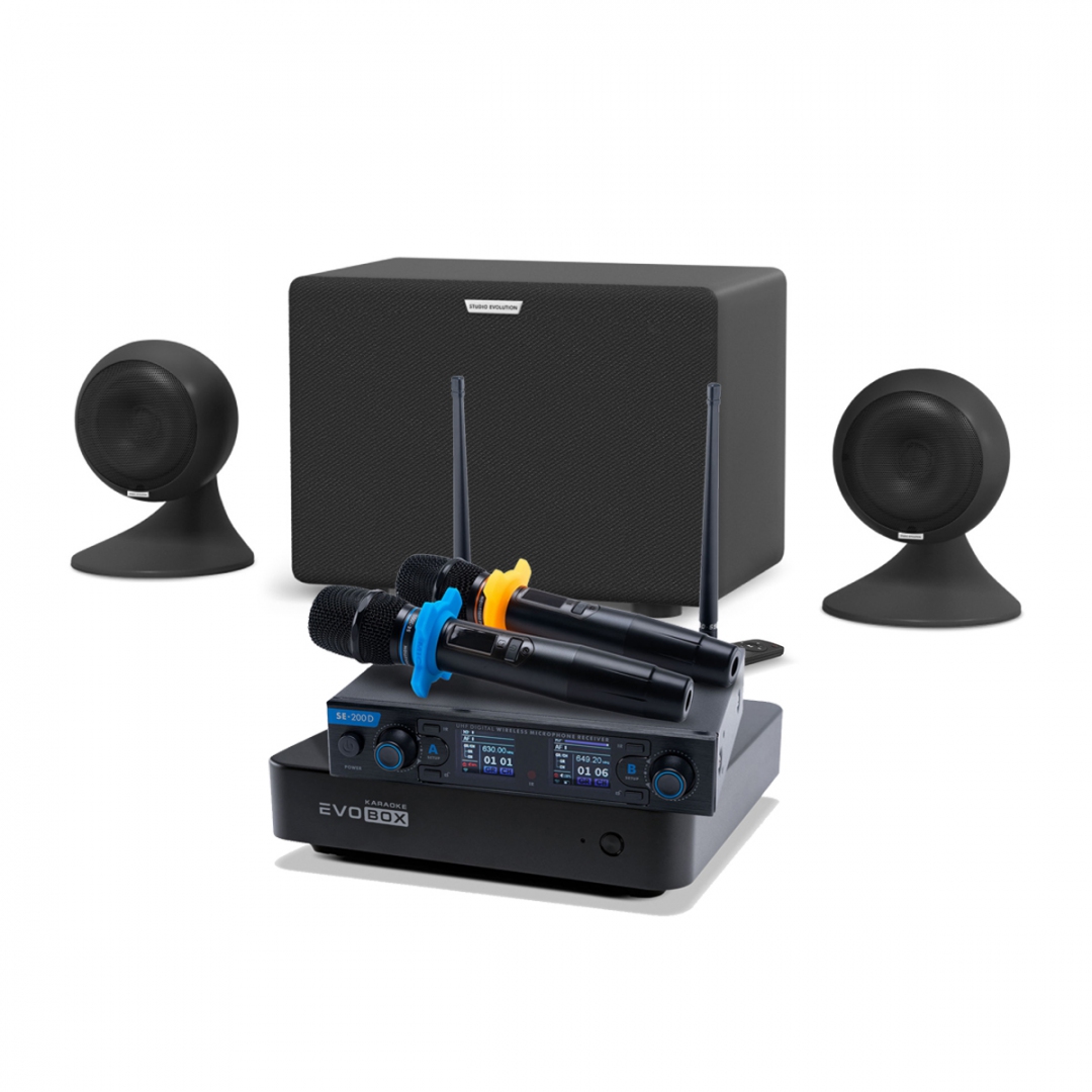 караоке-комплект EVOBOX + EvoSound Sphere 2.1 в Вологде