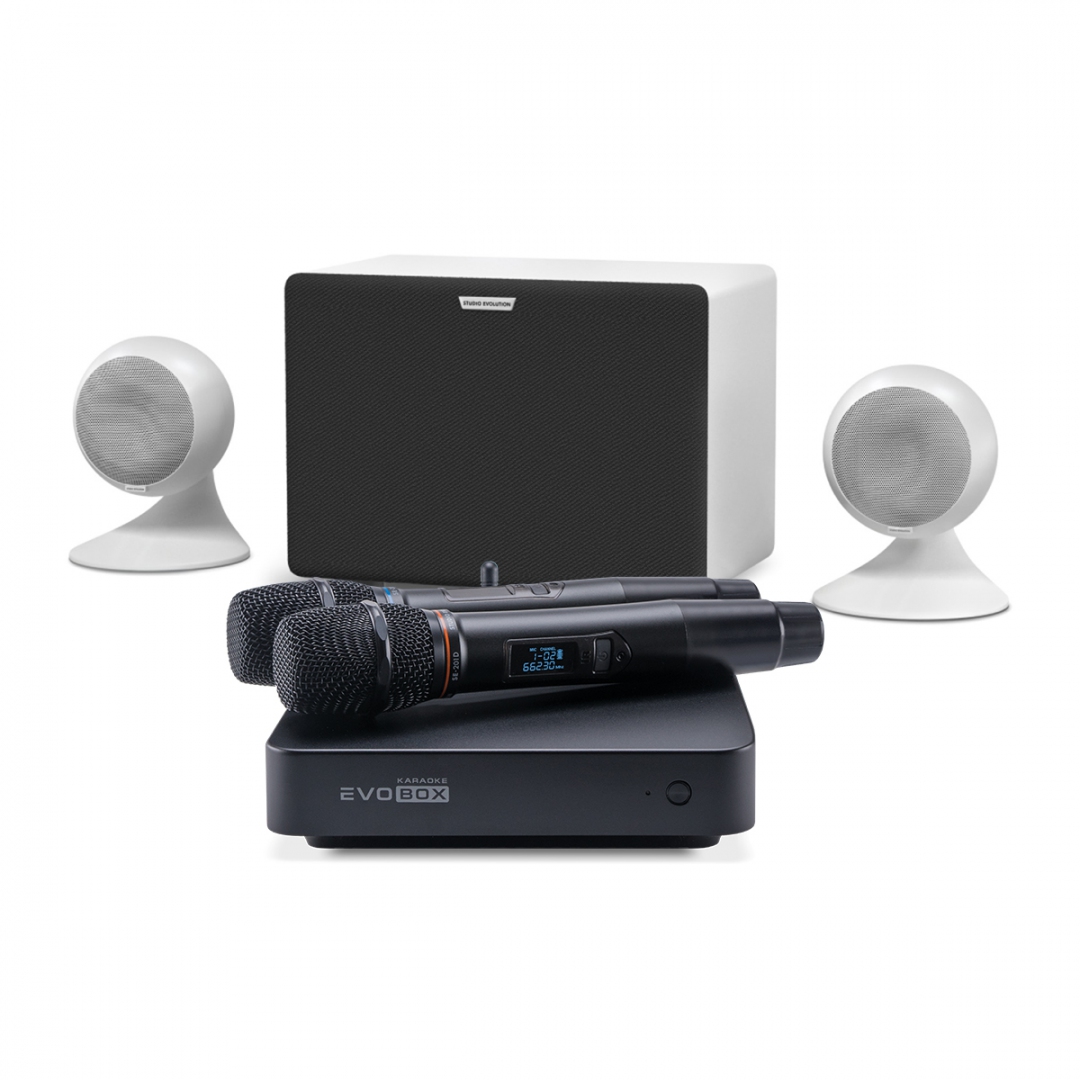караоке-комплект EVOBOX Classic + EvoSound Sphere 2.1 в Вологде