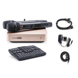 EVOBOX Classic караоке-система для дома в Вологде